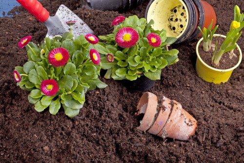 Illustration for accessibility statement on Gardeners Walthamstow Village gardening services