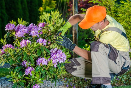 Gardeners carrying out safe outdoor maintenance with protective equipment