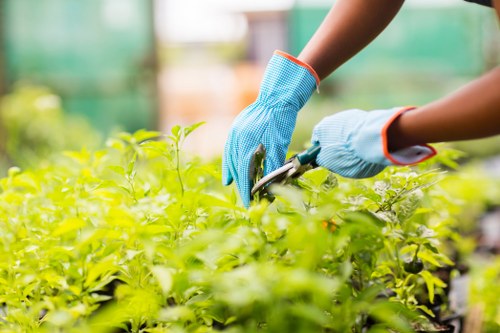 Professional gardener preparing a planned service visit