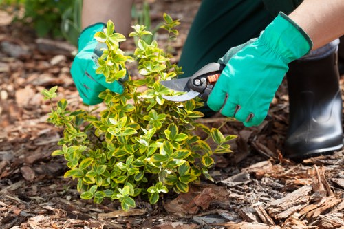 Garden booking and quotation details for maintenance work