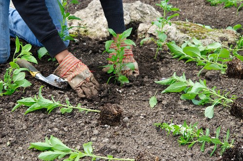 Safe online payment options for local garden services