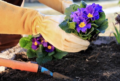 Front garden landscaping for a Walthamstow Village home