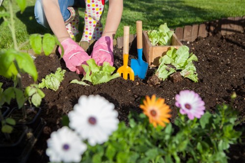 Garden maintenance in Walthamstow Village with neat borders and healthy plants