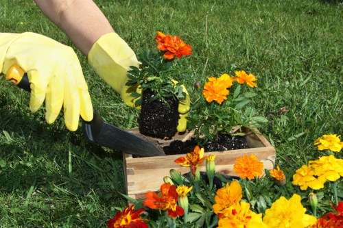 Transparent pricing for garden maintenance in Walthamstow Village