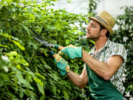 Local gardener shaping a garden design in Walthamstow Village