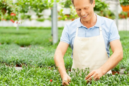 Invoice and payment terms for gardening services