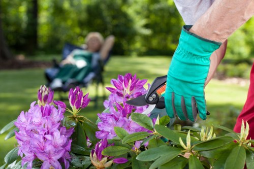 Professional gardening services in Walthamstow Village for lawns and hedges