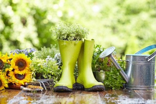 Well-kept garden turf in Walthamstow Village