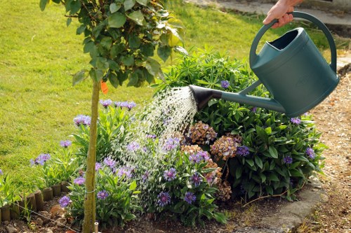 Removing green waste and garden debris in Walthamstow Village
