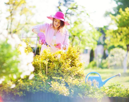 Accessibility support illustration for an online gardening service in Walthamstow Village