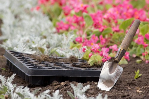 Seasonal garden maintenance in Walthamstow Village
