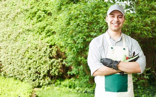 Middle stage of a gardening complaint review process