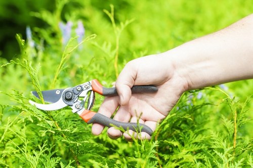 Walthamstow Village garden service focused on safety and protection