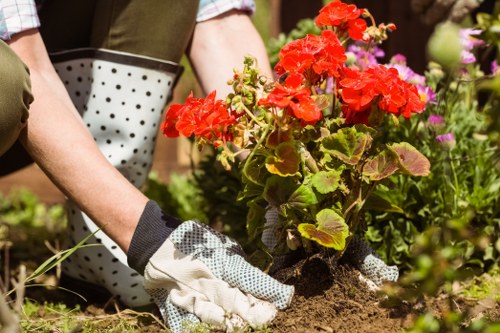 Professional gardeners in Walthamstow Village using protective equipment