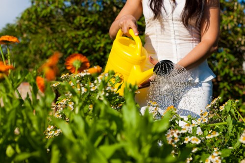 Supplier audit process supporting modern slavery prevention in gardening services