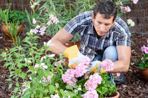 Seasonal garden care in Walthamstow Village with planting and tidy pathways