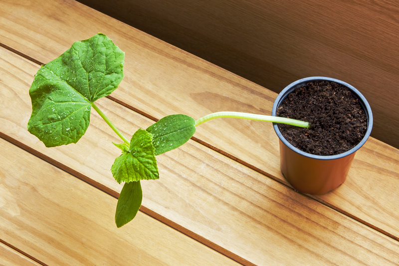 hedge trimming garden