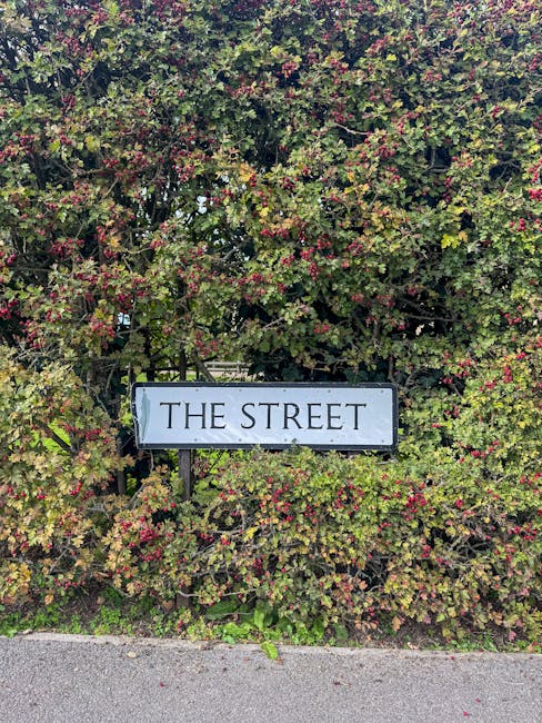 A charming front garden in Walthamstow Village featuring a small wooden display cabinet with glass doors, filled with decorative ceramics and household items. On top of the cabinet, there are various 
